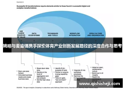 姚明与麦肯锡携手探索体育产业创新发展路径的深度合作与思考